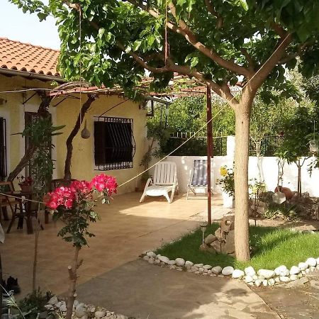 Panos And Chrisas House Villa Drepano  ภายนอก รูปภาพ