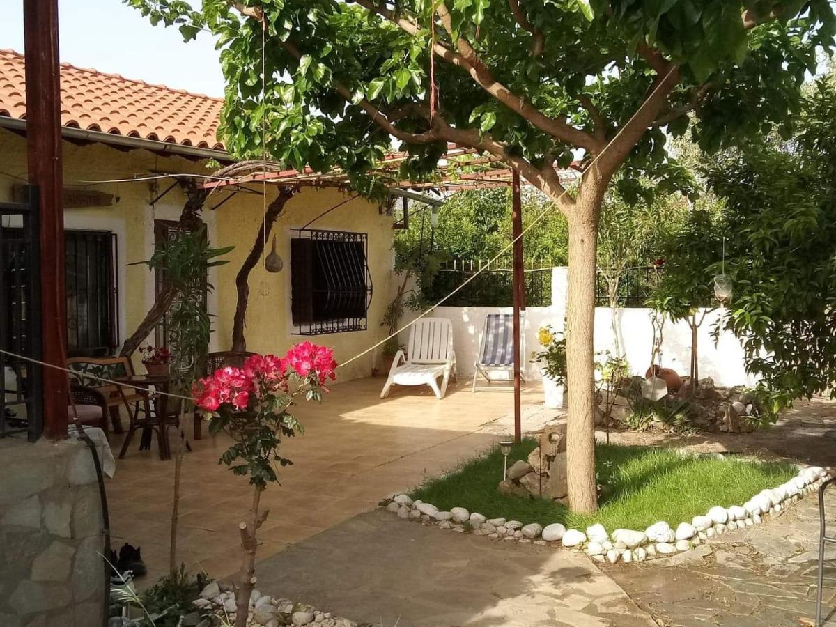 Panos And Chrisas House Villa Drepano  ภายนอก รูปภาพ