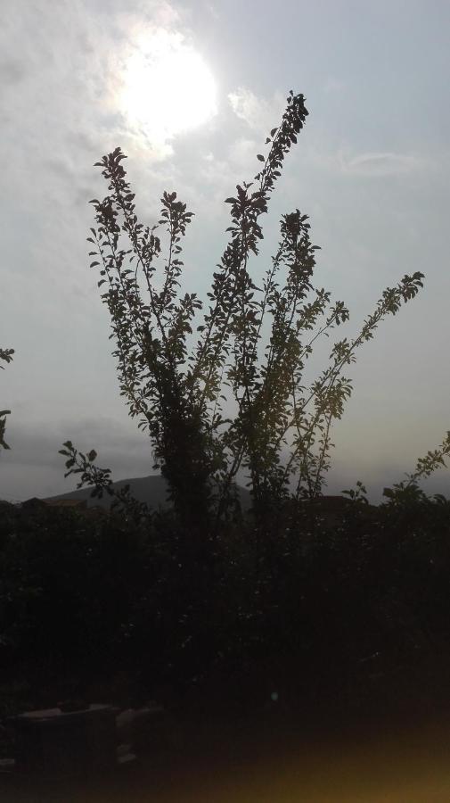 Panos And Chrisas House Villa Drepano  ภายนอก รูปภาพ