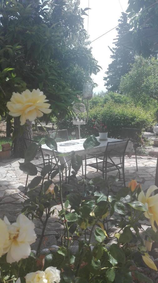 Panos And Chrisas House Villa Drepano  ภายนอก รูปภาพ