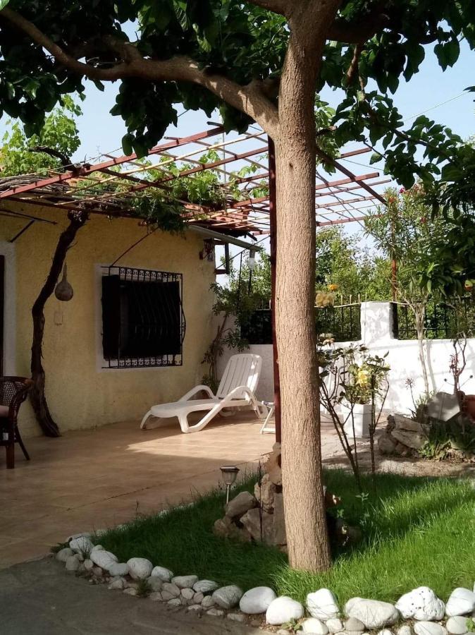 Panos And Chrisas House Villa Drepano  ภายนอก รูปภาพ