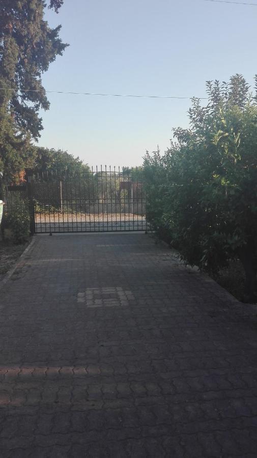 Panos And Chrisas House Villa Drepano  ภายนอก รูปภาพ