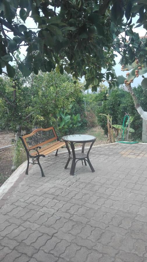 Panos And Chrisas House Villa Drepano  ภายนอก รูปภาพ